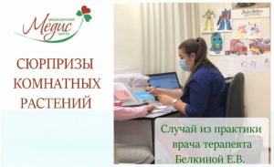 Фотография Медис 3