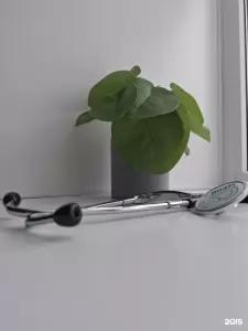 Фотография Стелла мед 3