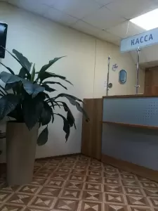 Фотография Виртус 2