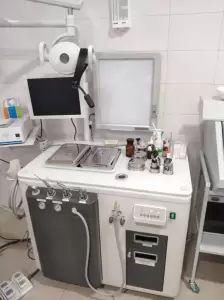 Фотография Доктор мира 0